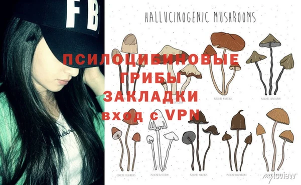 крисы Вяземский