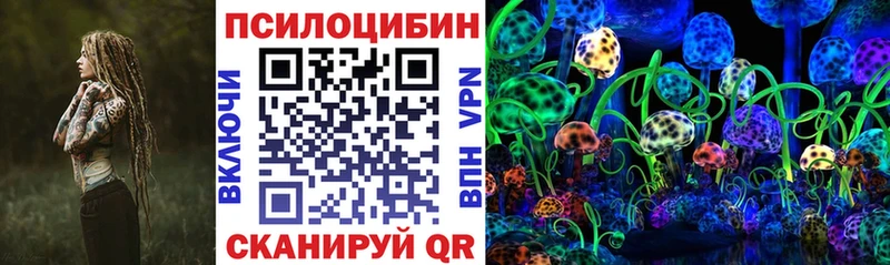 Галлюциногенные грибы Magic Shrooms  Купить закладки  Курчалой 
