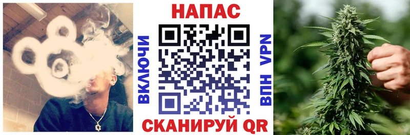 Канабис план Купить закладки Курчалой